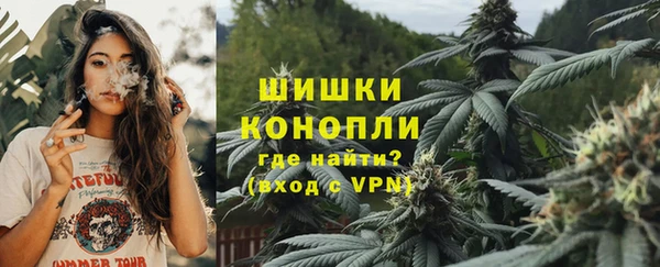 apvp Осинники