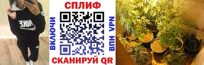 omg ссылка  наркошоп  Заволжск  Бошки марихуана гибрид 